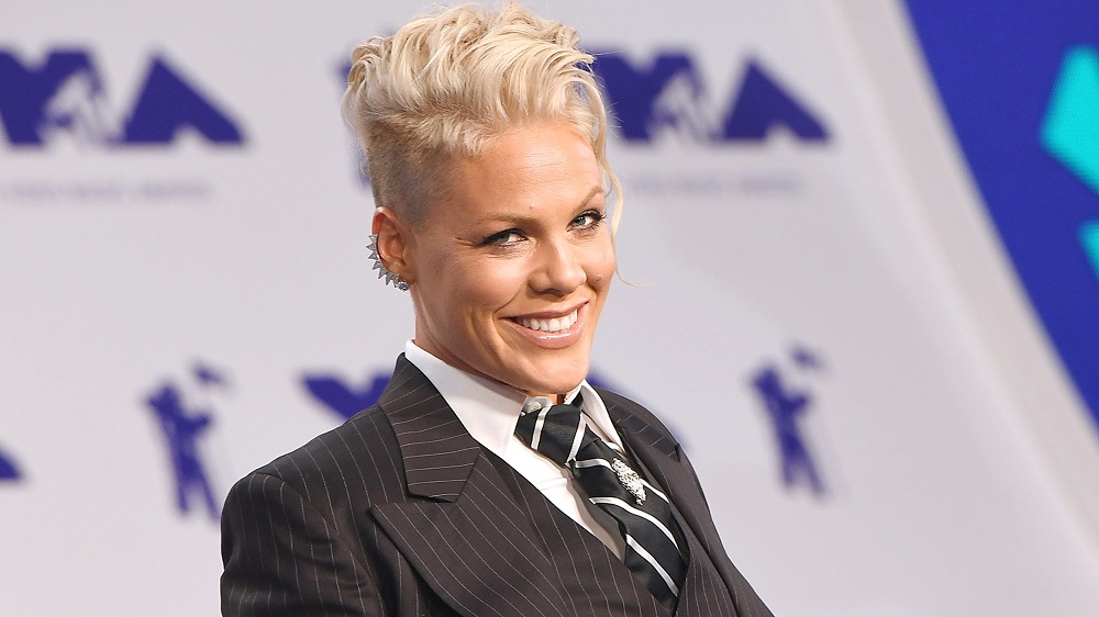 دانلود آهنگ زیبای Pink - Who Knew