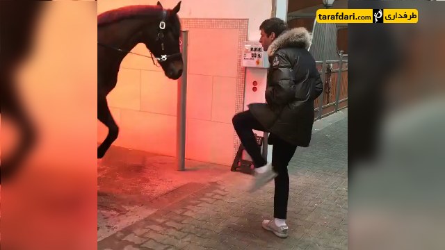 همسر توماس مولر