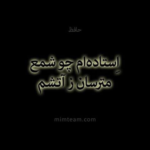 برای علی کریمی؛ درخت ها ایستاده می میرند!