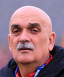 vahid m