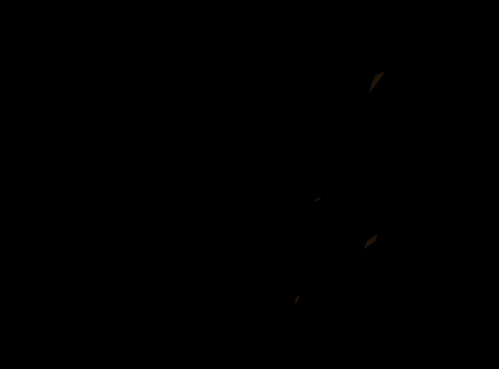 محمدرضا پیری
