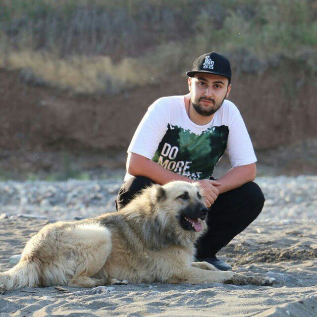 محمد شاکر