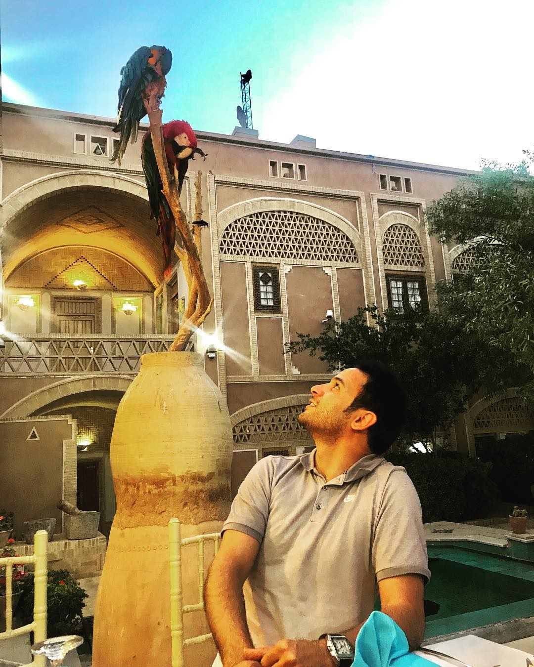 آرش برهانی