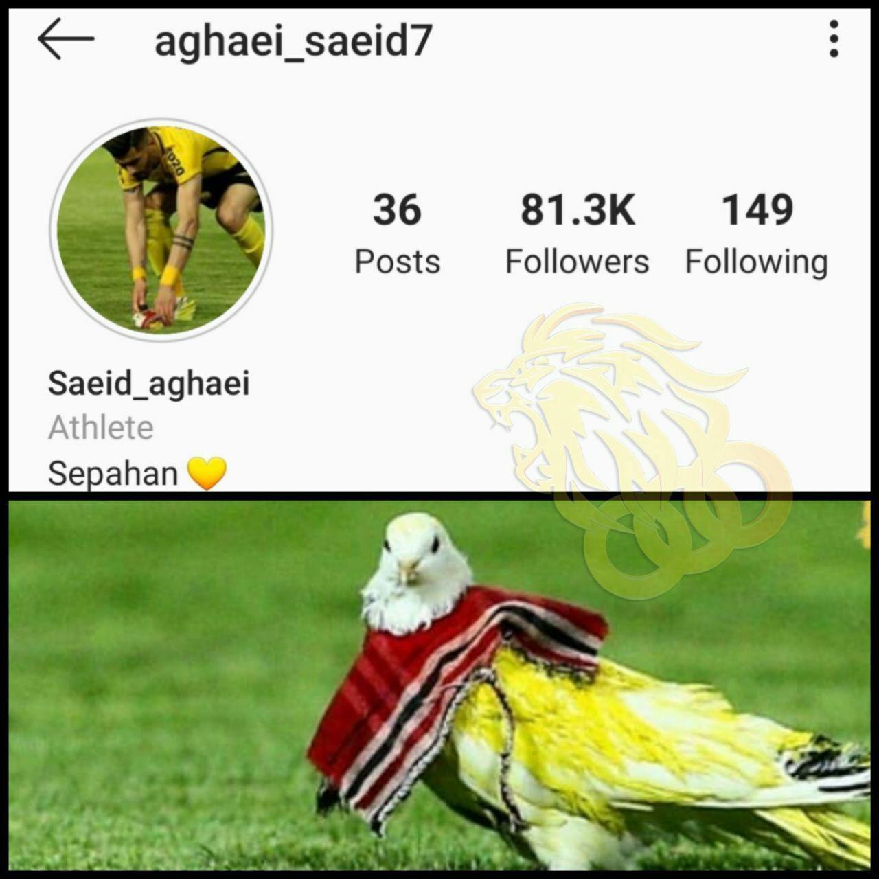 سعید آقایی