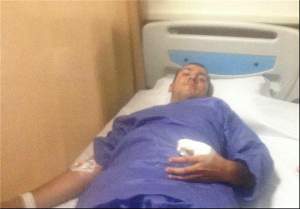 محمد دانشور