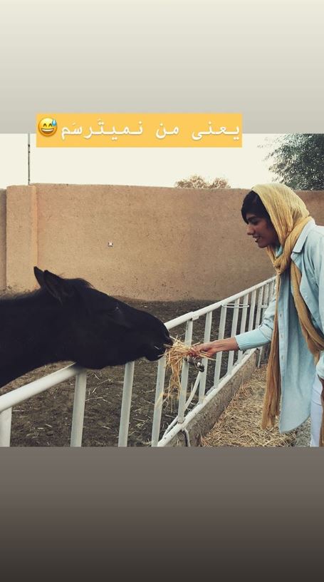 الهام فرهمند