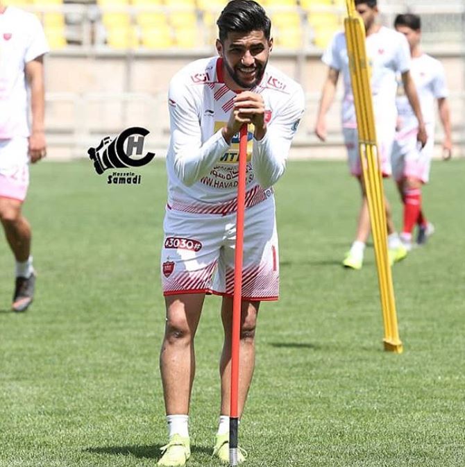مهدی شریفی