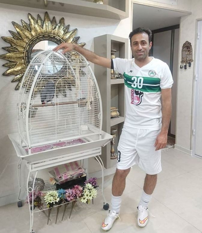 مهدی رجب زاده