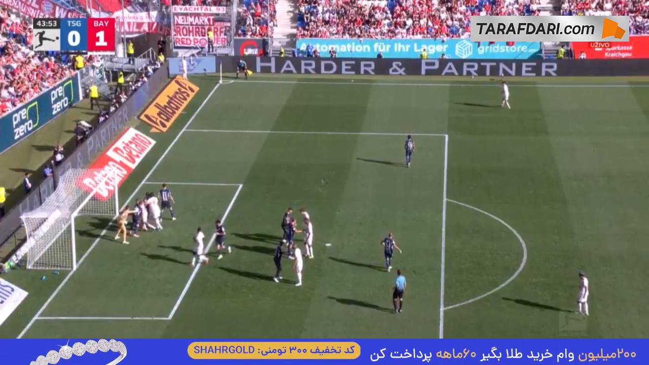 هوفنهایم، بایرن مونیخ