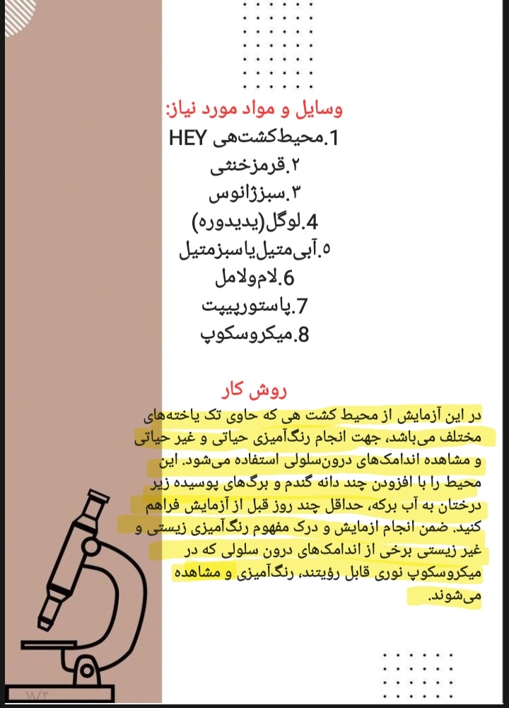 گزارش کار آزمایشگاه زیست شناسی مولكولی