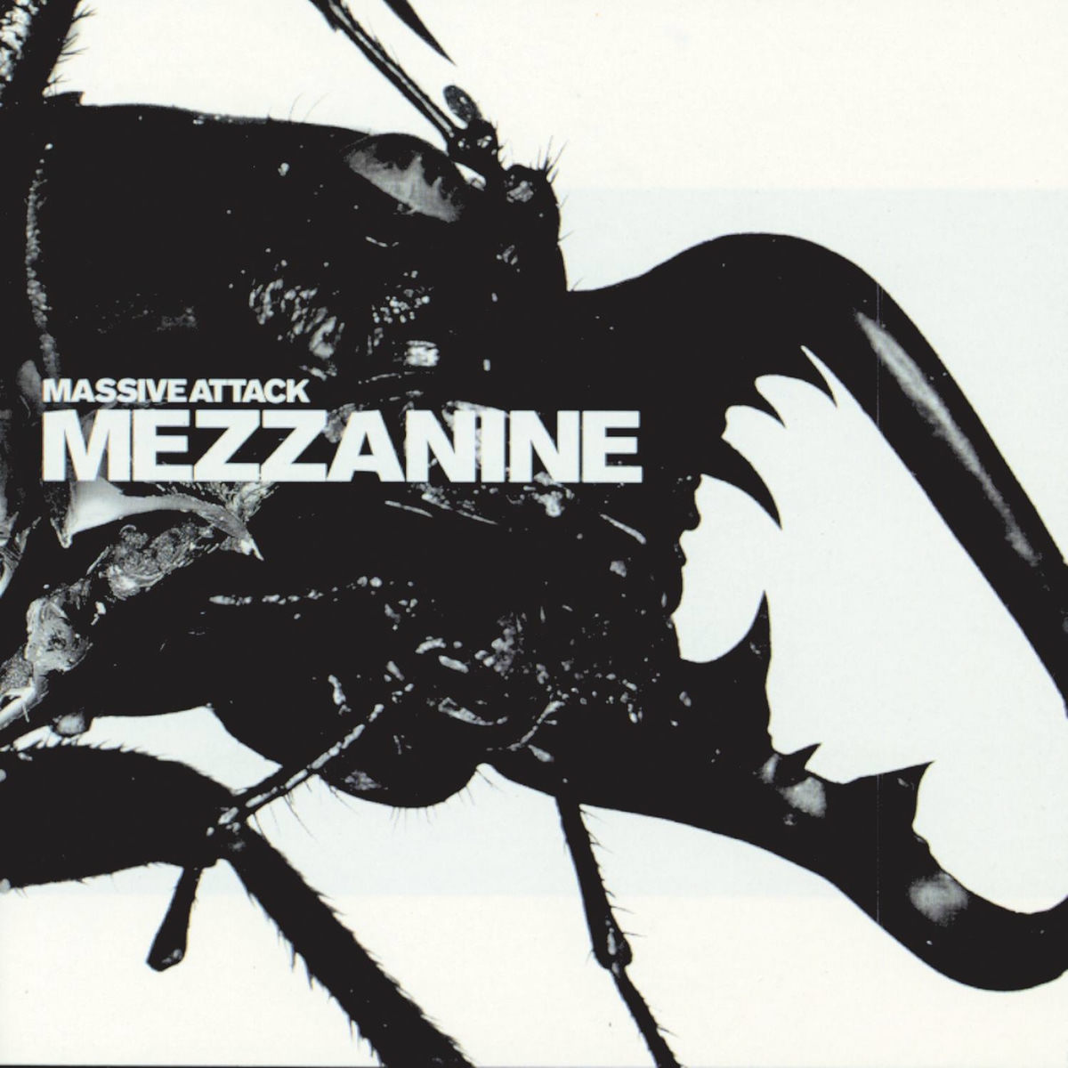دانلود آهنگ Angel از Massive Attack (کیفیت بالا) + متن