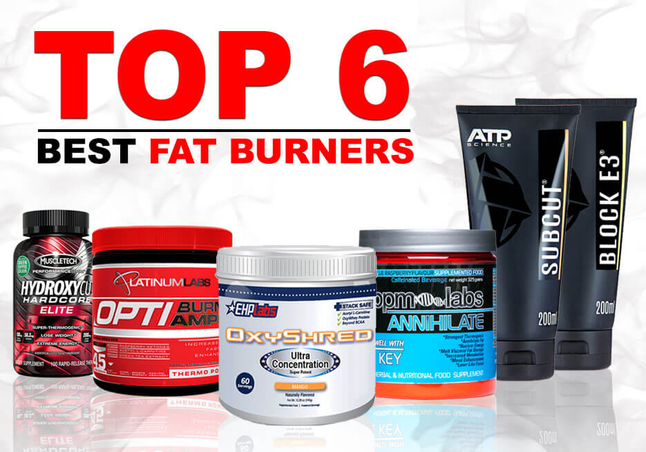 مکمل های بدنسازی-پرورش اندام-مکمل غذایی-پروتئین-Supplements-مکمل چربی سوز