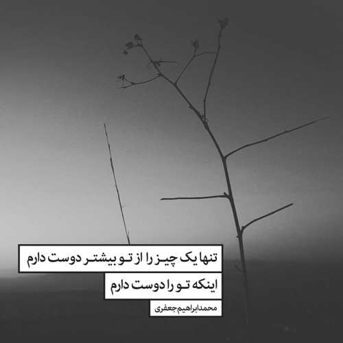 تنها یک چیز را از تو بیشتر دوست دارم،اینکه تو را دوست دارم