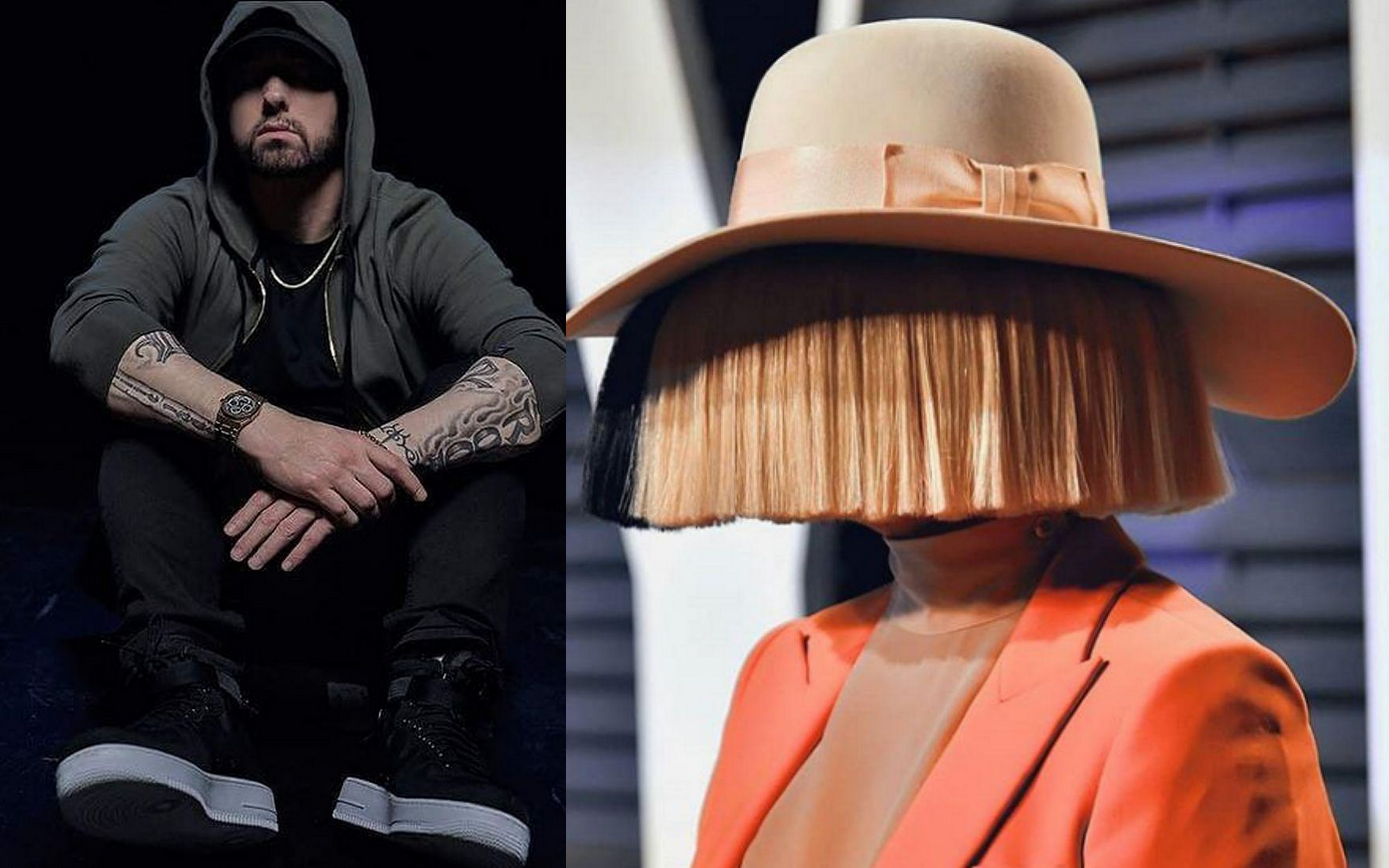 دانلود آهنگ Sia Furler & Eminem - Guts Over Fear