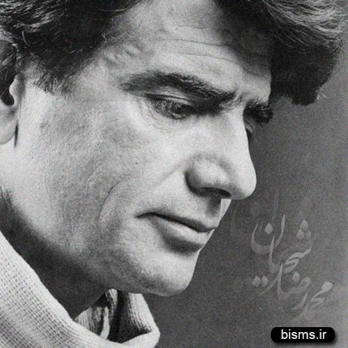 دانلود آهنگ زیبا و قدیمی شب نورد از محمدرضا شجریان
