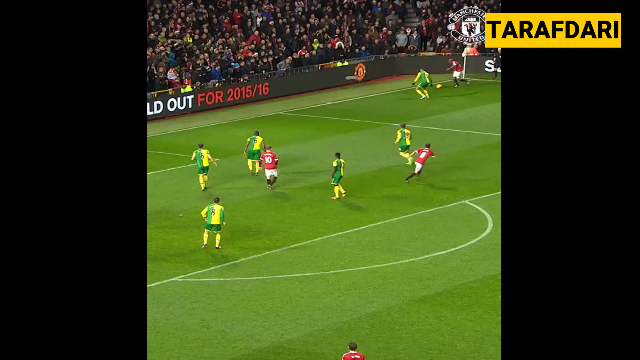 منچستریونایتد-نوریچ-فرانسه-manchester united