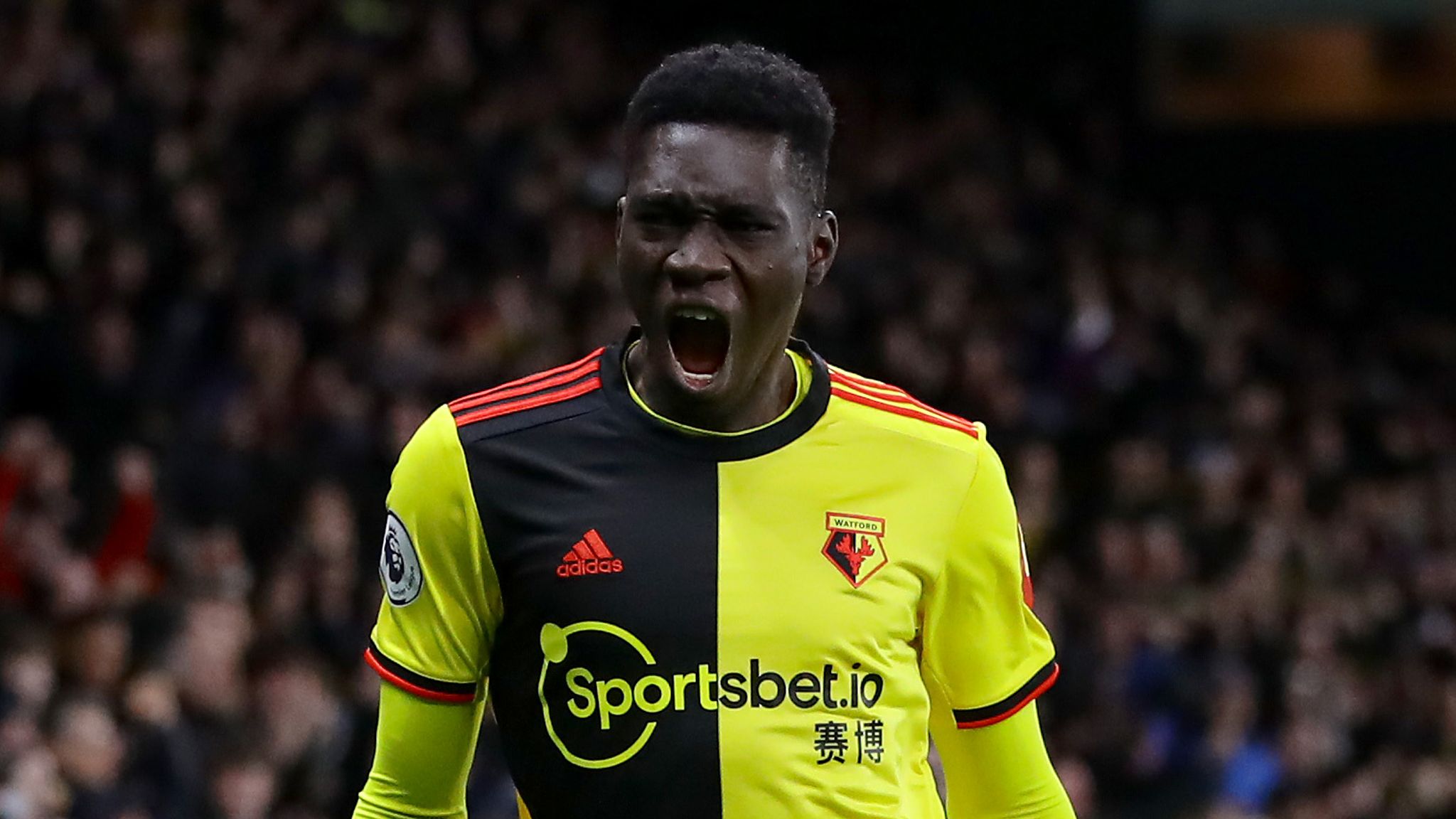 واتفورد / لیگ برتر / گوزن ها / Hornets / Premier League / Watford