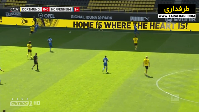 هوفنهایم / بوندس لیگا / آلمان / hoffenheim