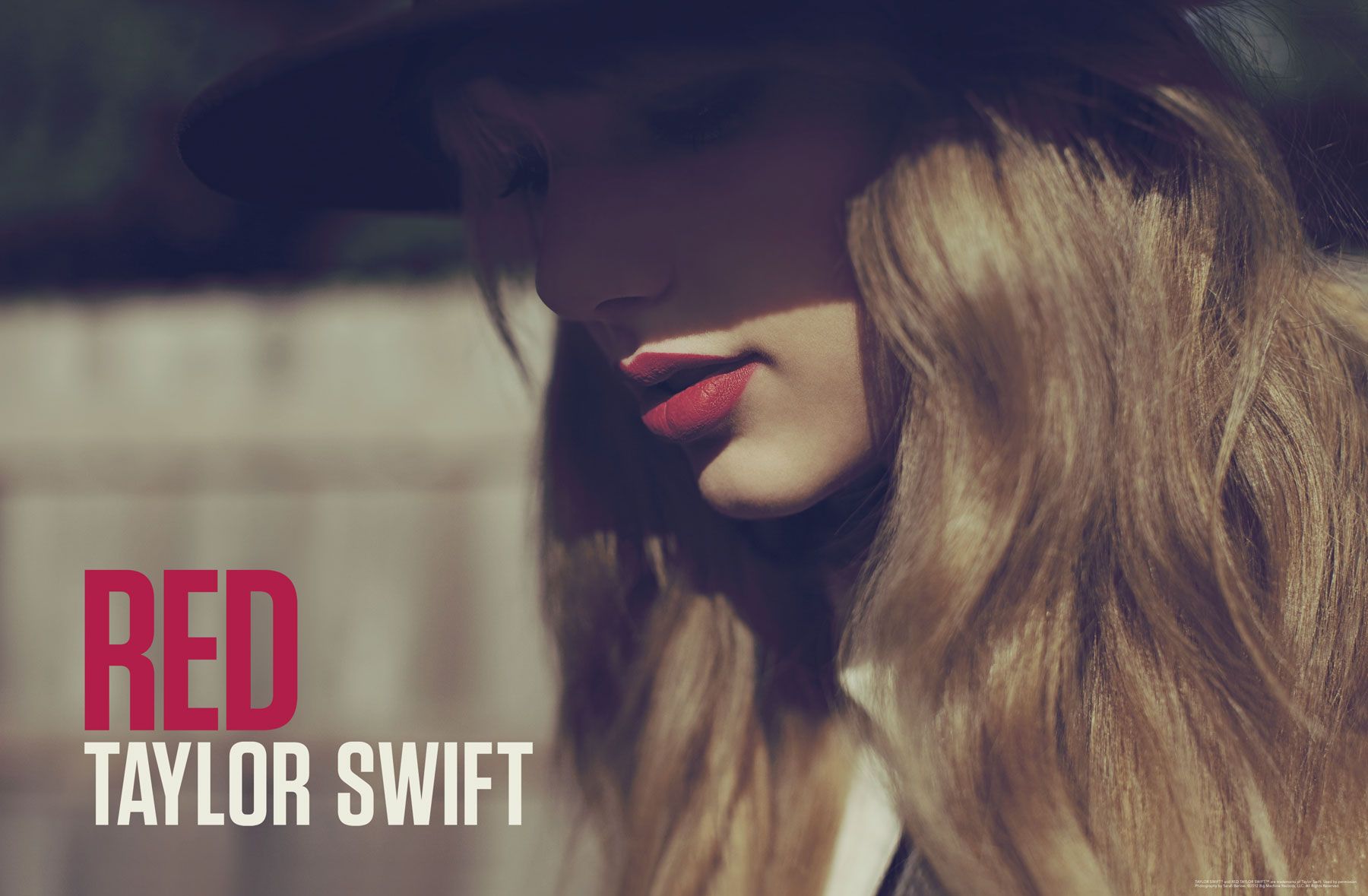 دانلود آهنگ The Moment I Knew از Taylor Swift به همراه متن و ترجمه