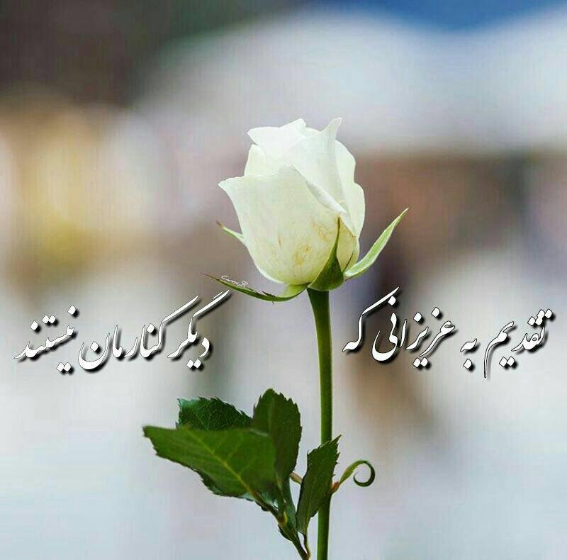 ???بچه ها شب جمعه است برای گذاشتگانمون و گذشتگان همه بچه های طرفداری دعای خیر بکنیم???...