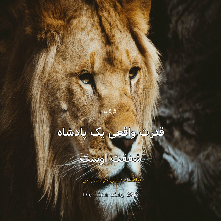 قدرت واقعی یک پادشاه - شیر شاه 2019