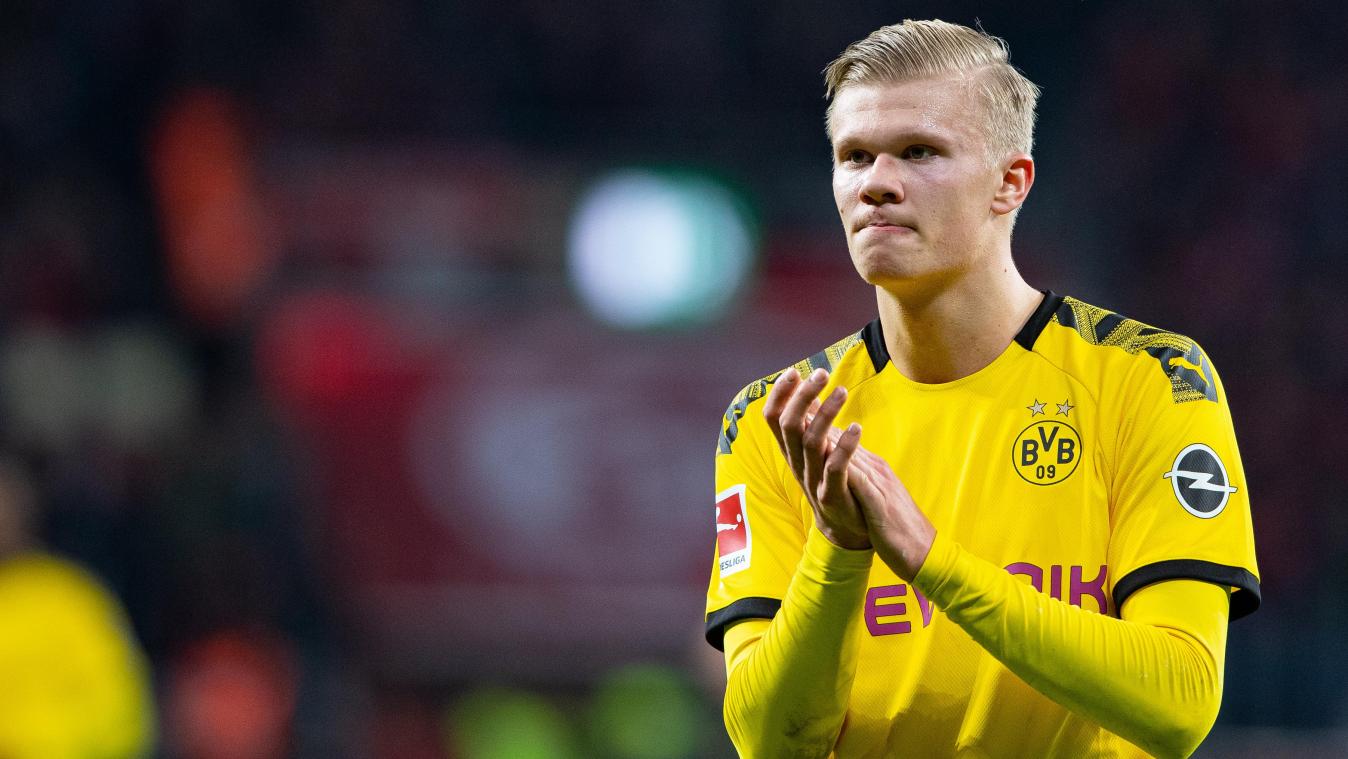 دورتموند-زنبورها-بوندسلیگا-آلمان-Germany-Dortmund