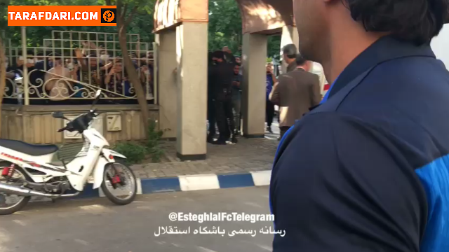 هواداران استقلال