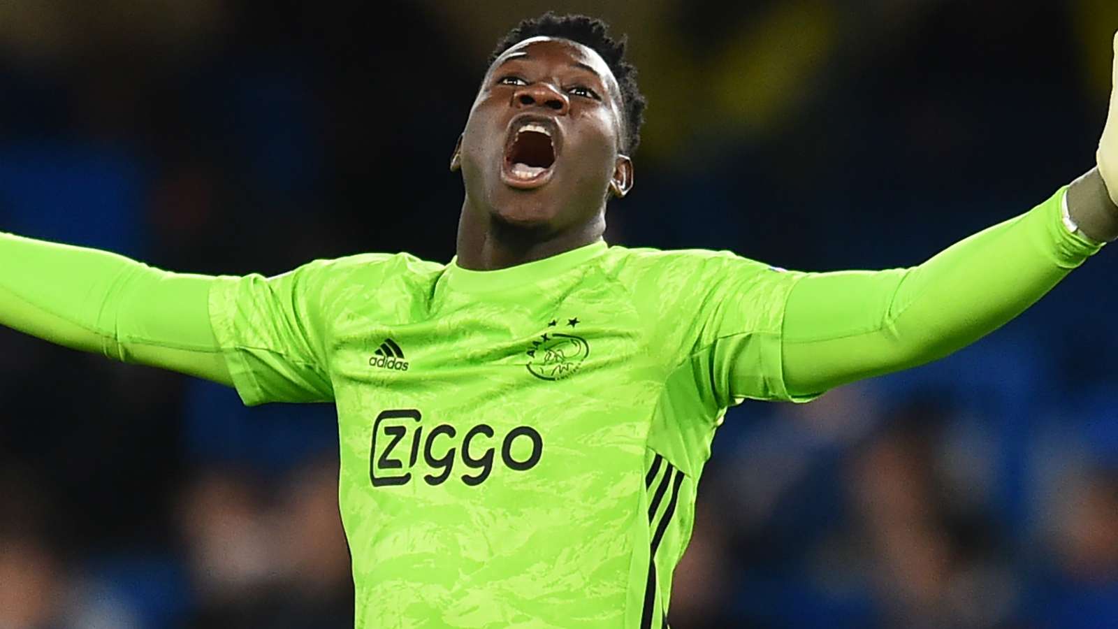 آژاکس-اردیویسه-کامرون-Ajax-Eredivisie-Cameroon