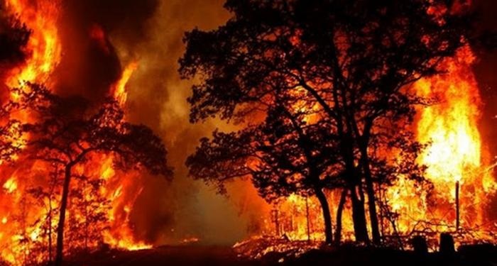 اقدام دروازهبان تیم ملی برای آتشسوزی زاگرس