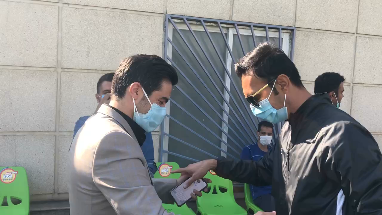 هوادار