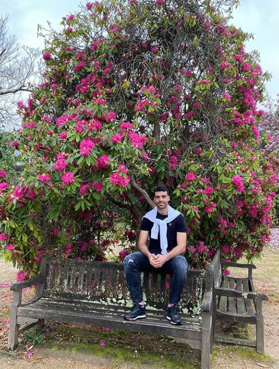 سیدمهدی طارمی