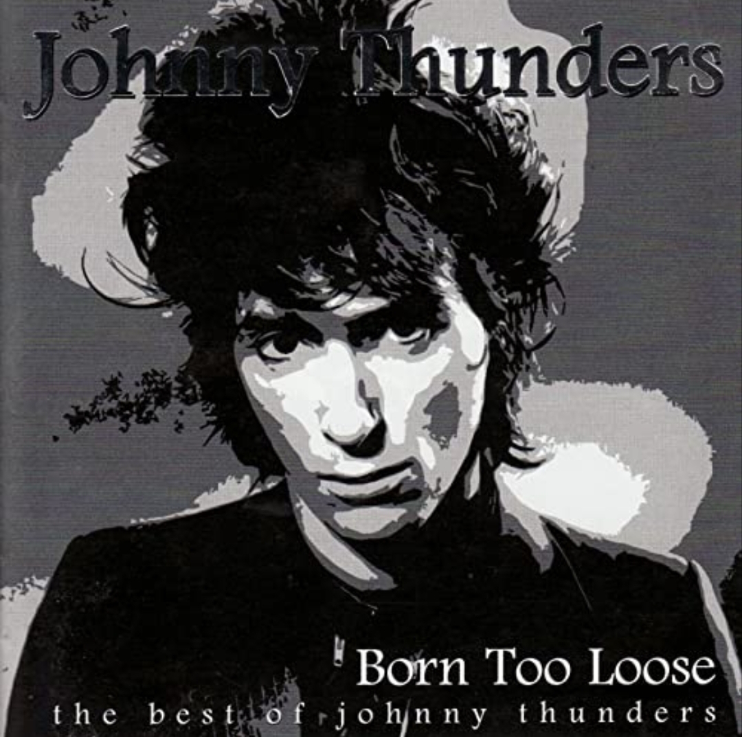 دانلود آهنگ You Can't Put Your Arms Around a Memory از Johnny Thunders