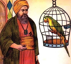 طوطی و بازرگان ?