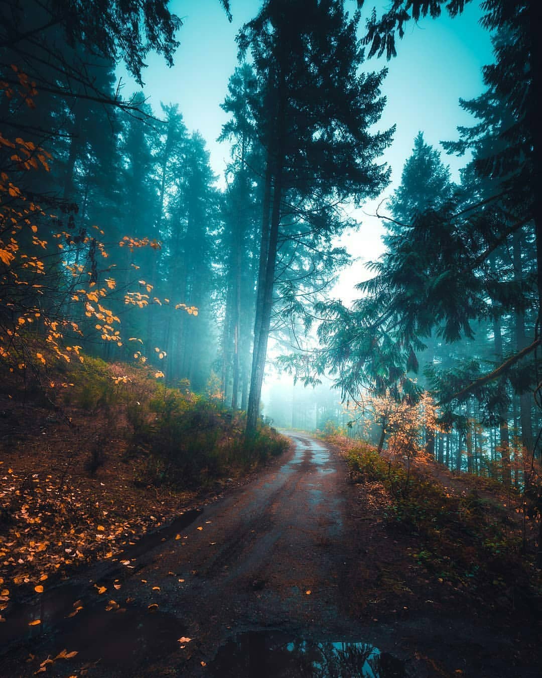 آماده مرگ هستید؟؟
