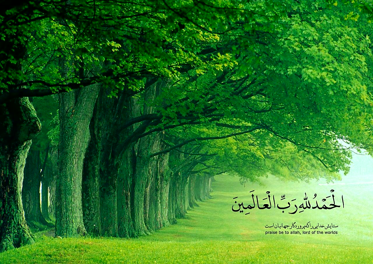 آقا بدبخت شدیم هاکان و تئو تستشون مثبت شد و کرونا .بین.خدا به دادمان برسه.اخه چقدر تلفات و مصدومیت اسپورت