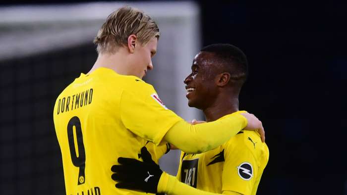 دورتموند-زنبورها-بوندسلیگا-آلمان-Dortmund-Germany