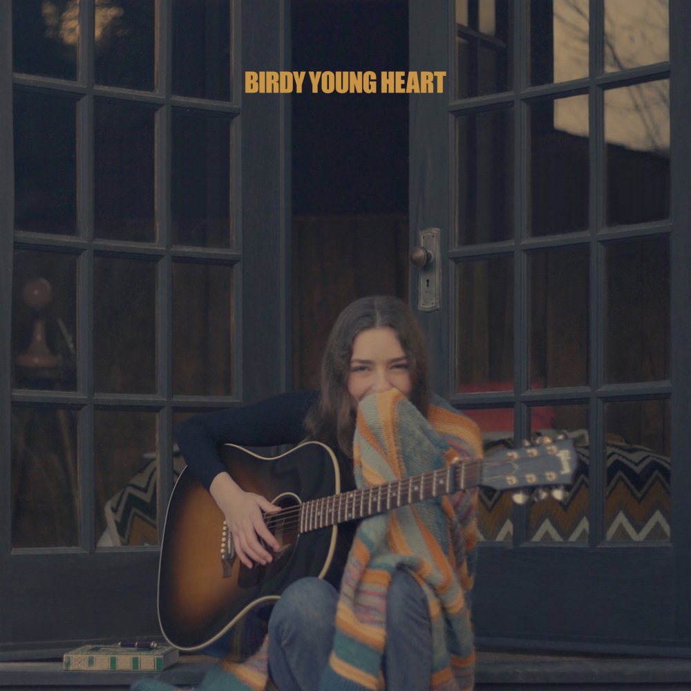 دانلود آهنگ Birdy - Surrender