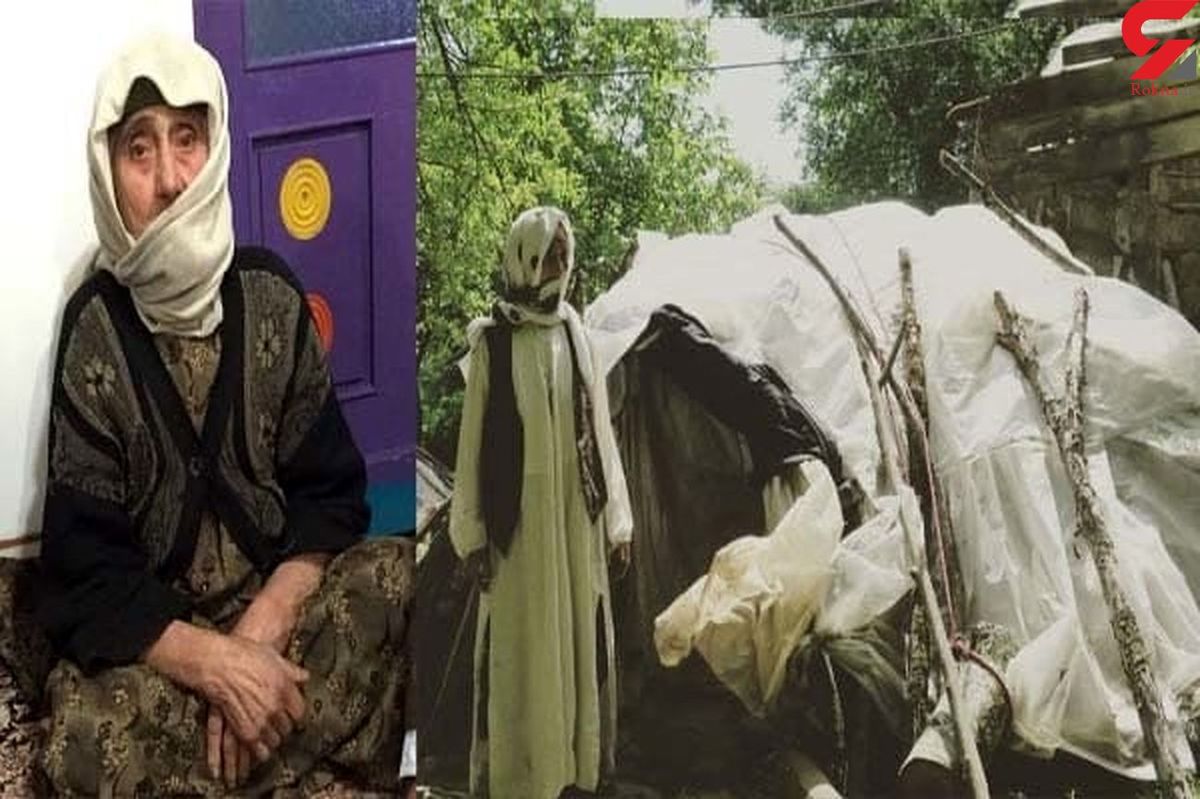 مادربزرگ نیکوکاری که در چادر زندگی میکرد، درگذشت+ عکس