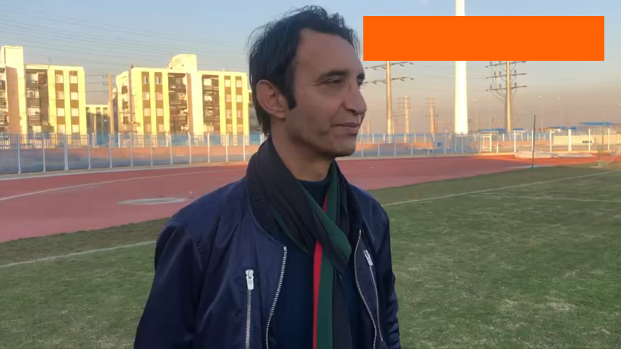 هوادار