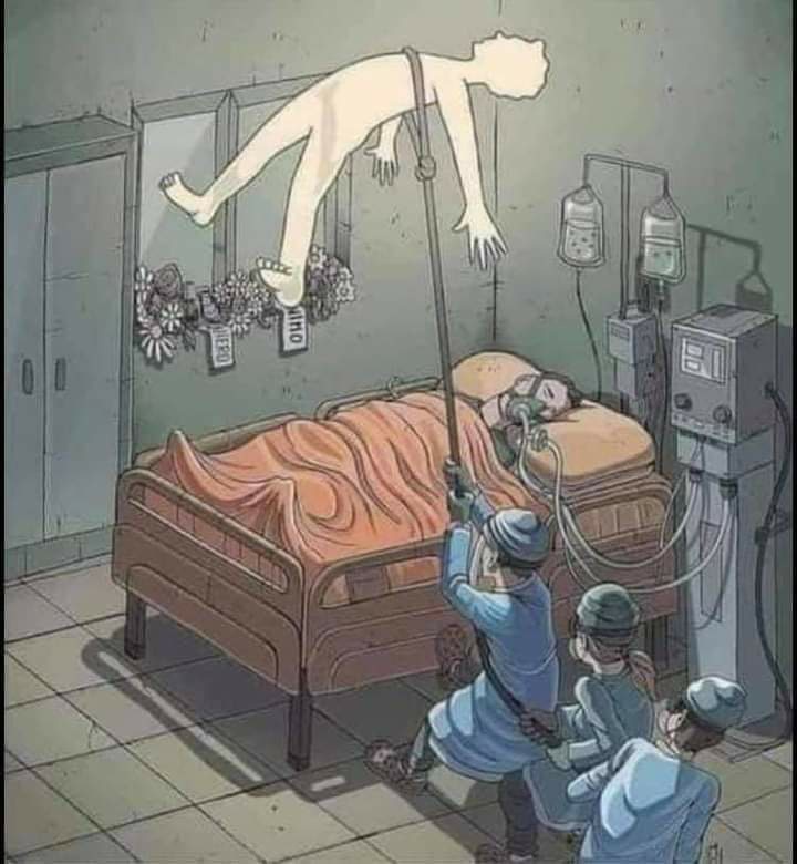 زندگی! شما برهنه آمدید!
