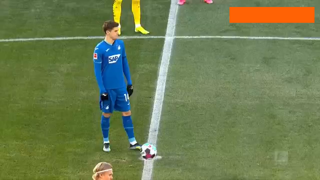 دورتموند / هوفنهایم / بوندسلیگا / dortmund