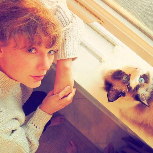 دانلود آهنگ جدید Taylor Swift به نام (Hey Stephen (Taylor's Version به همراه متن و ترجمه