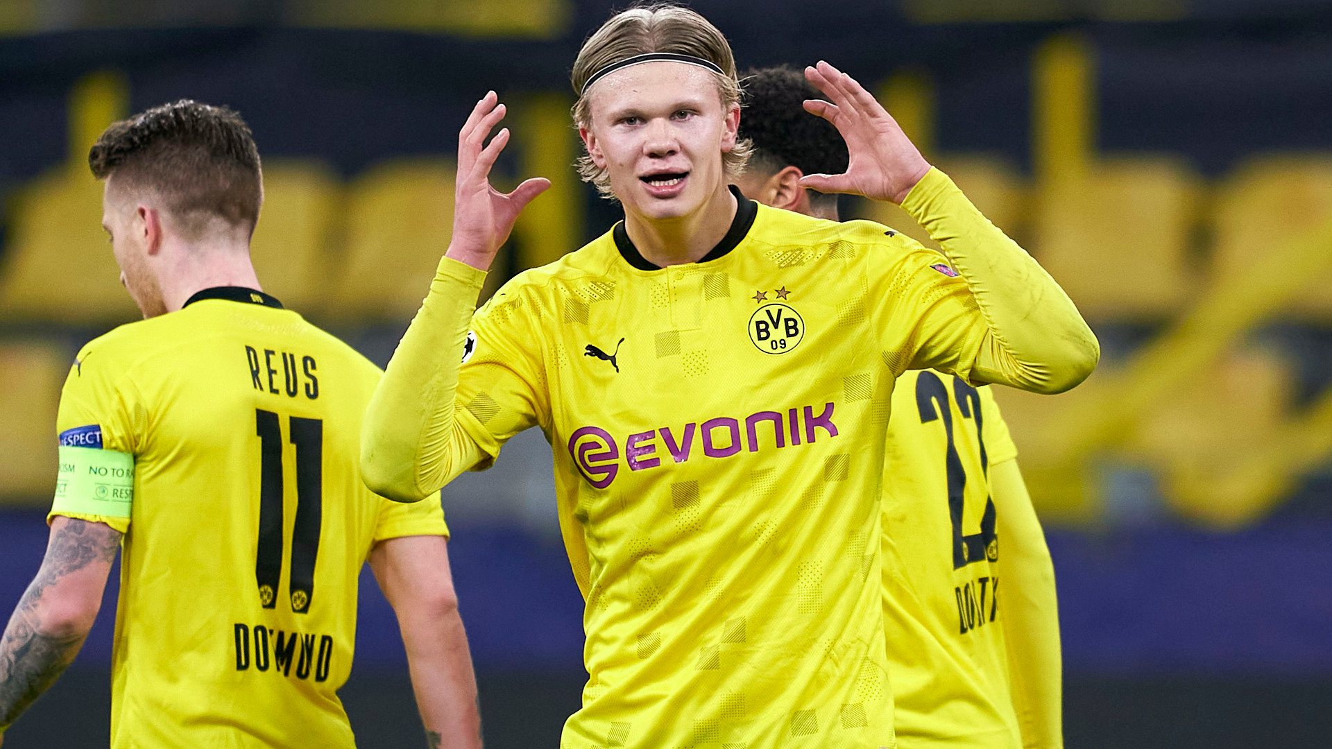 دورتموند-بوندسلیگا-آلمان-زنبورها-Dortmund-Germany