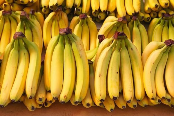 افتخارات تیم ملی ترکیه(ماه و ستاره) در طول ادوار فوتبال مو به مو و کارشناسی شده و با سند فوتبالی!