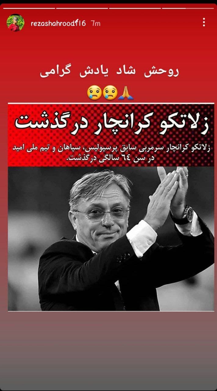 رضا شاهرودی