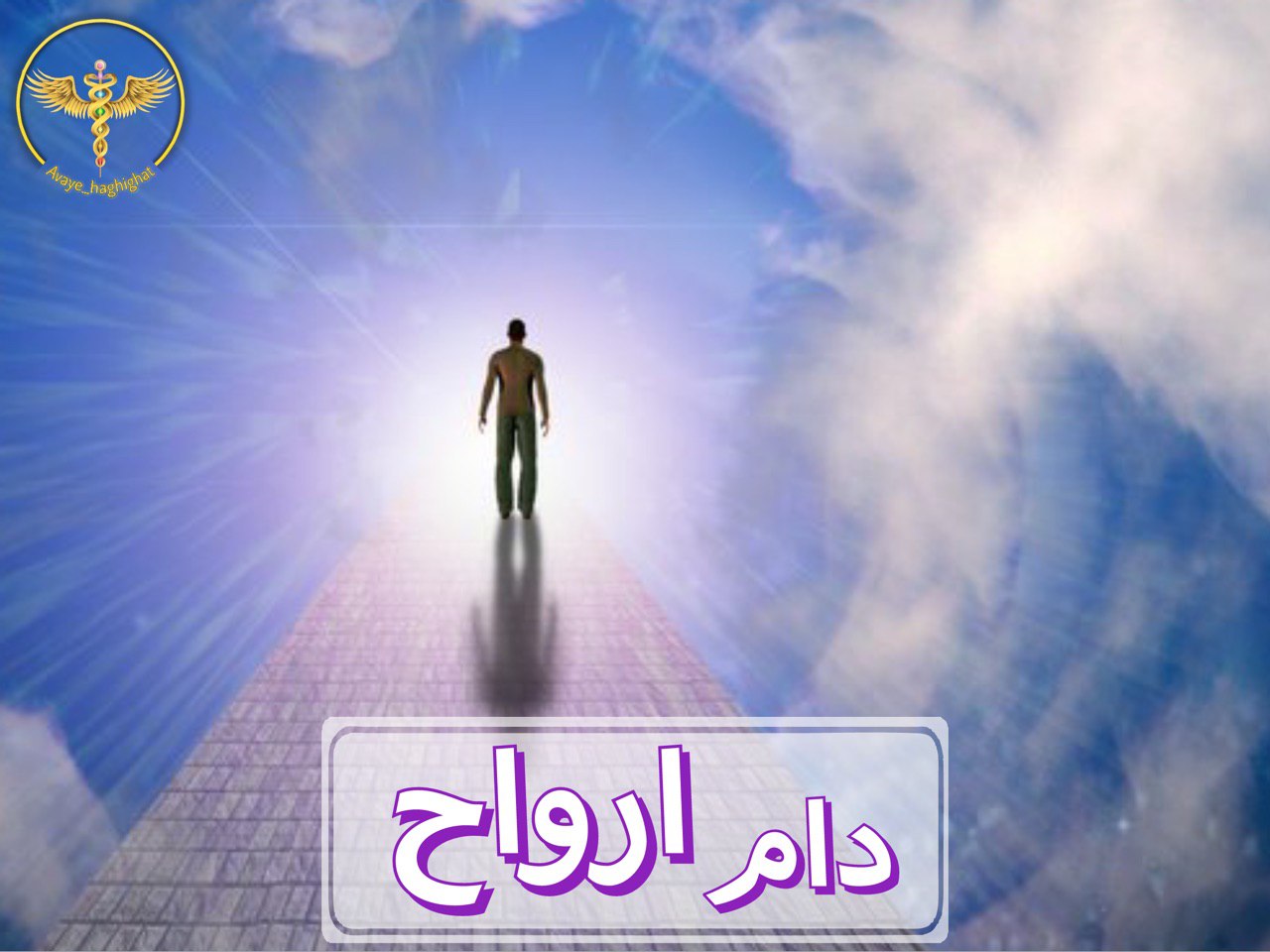 دام ارواح - مقاله های اتحاد نور