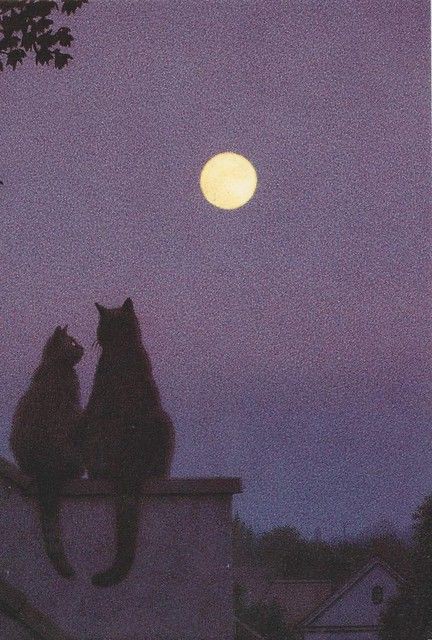 دانلود آهنگ fly me to the moon از joytastic Sarah