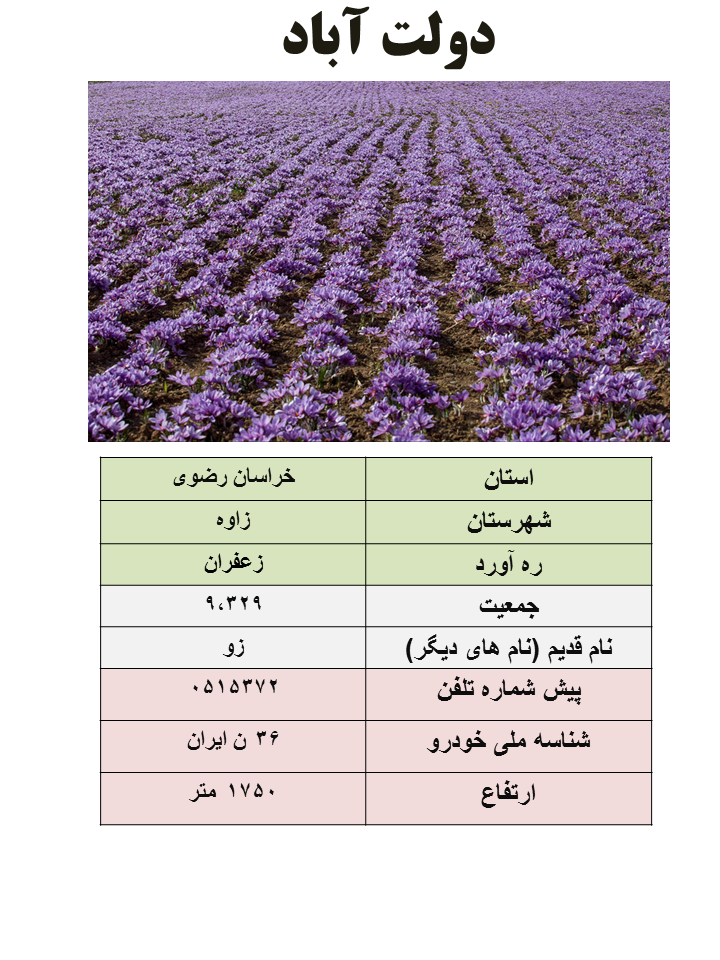 ایران شناسی (333): دولت آباد (مرکز شهرستان زاوه)