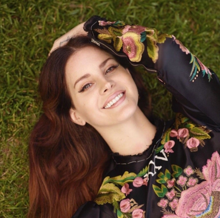 دانلود آهنگ wild at heart از Lana Del Rey با متن