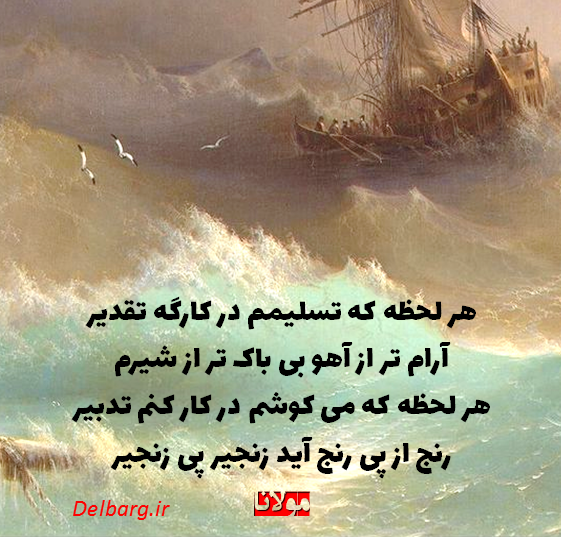 دوروبرتون بیشتر بچه ها...